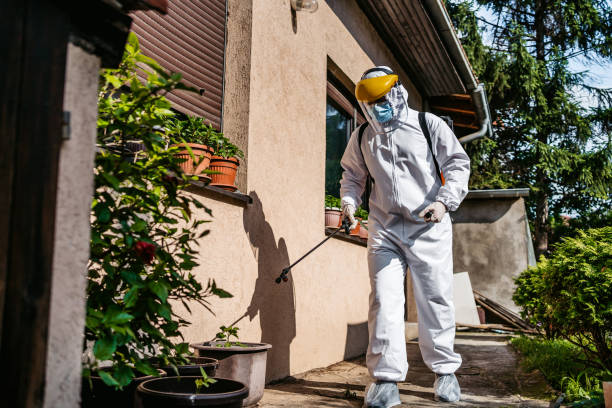 Best Mosquito Control Services  in Avila Beach, CA