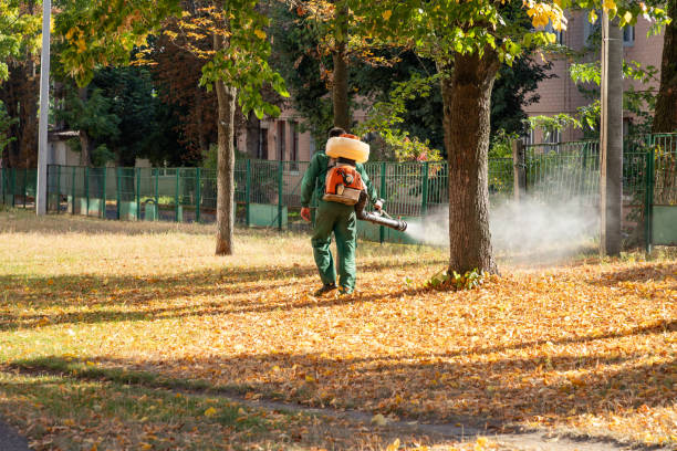 Professional Pest Control in Avila Beach, CA