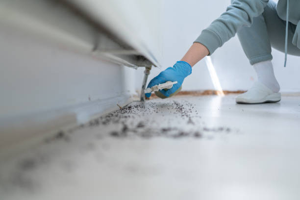 Best Pest Prevention Services  in Avila Beach, CA